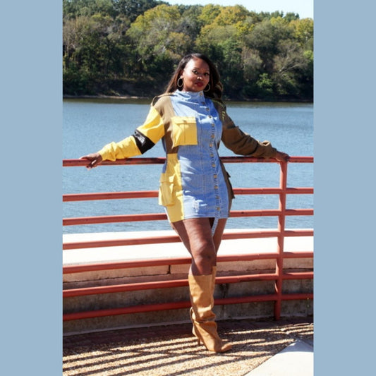 Front Button Long Sleeve Denim Mini Dress